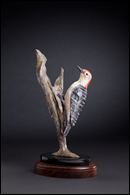 Red-Bellied Woodpecker - painted patina